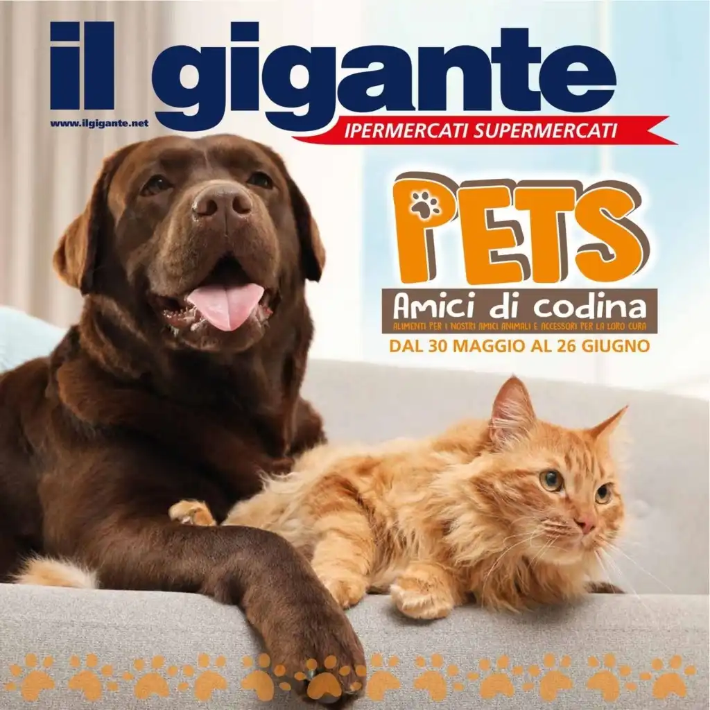 Il Gigante Speciale