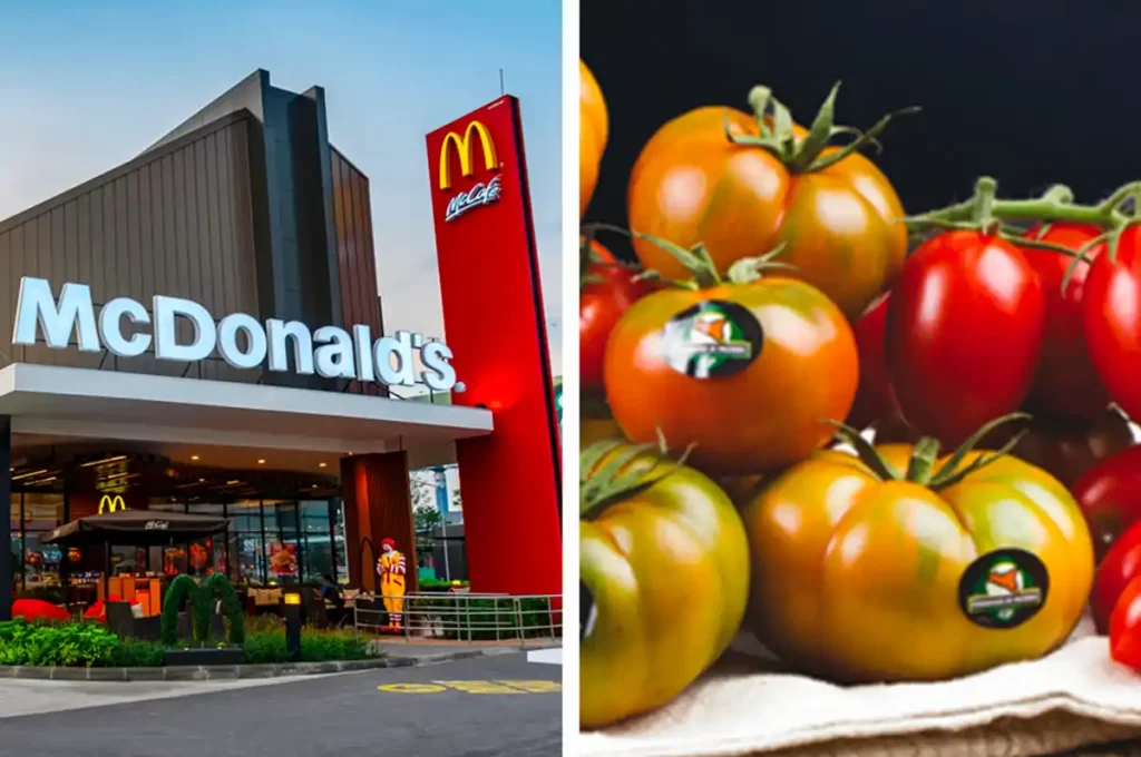 Il Pomodoro di Pachino IGP arriva nei McDonald’s italiani, grazie ad un nuovo accordo