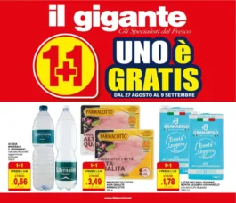 Sfoglia il contenuto: Volantino Il Gigante dal 27 agosto al 9 settembre 2026