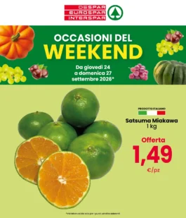 Volantino Despar – Nord – Bologna, Trieste e Venezia Occasioni del Weekend dal 24 settembre