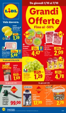 Sfoglia il contenuto: Lidl – nazionale Grandi Offerte dal 1 ottobre
