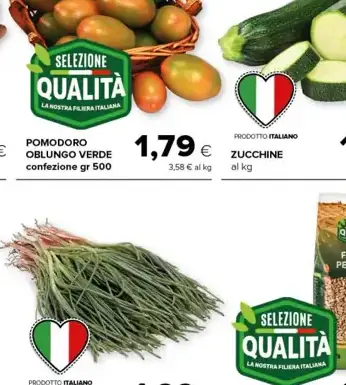 Qualita Zucchina