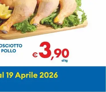 Pollo
