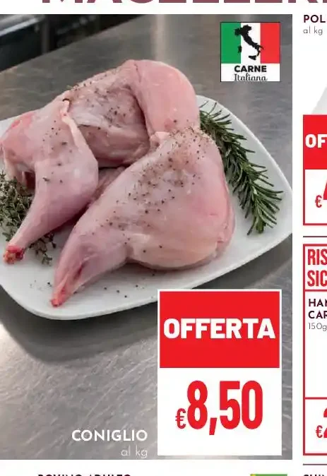 Coniglio