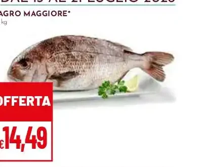 Pagro maggiore