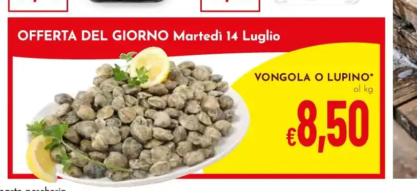Vongola o lupino