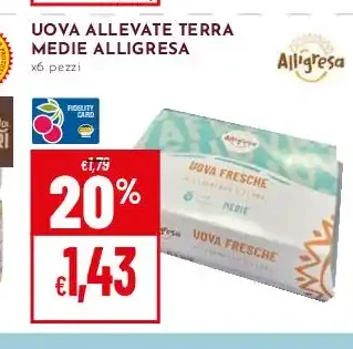 Uova allevate a terra medie Alligresa