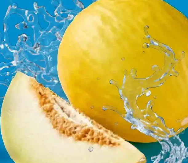 Melone giallo