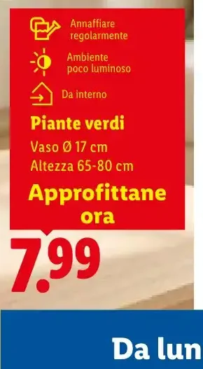 Piante verdi