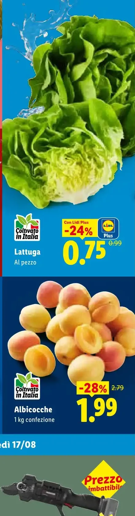 Lattuga