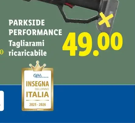 Tagliarami ricaricabile