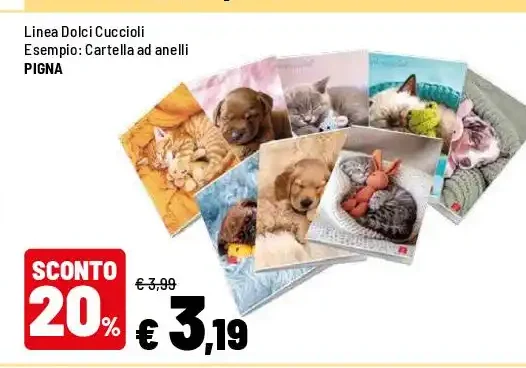 Cartella ad anelli