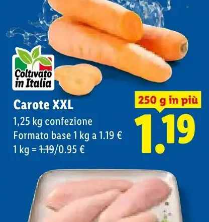 Carote XXL