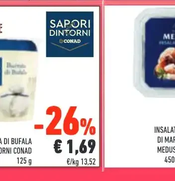 Coni miniatura