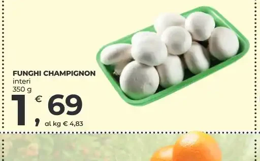 Funghi champignon