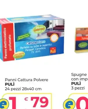 Panni cattura polvere