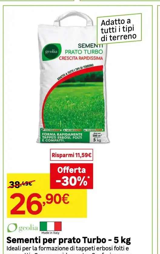 Sementi per prato Turbo