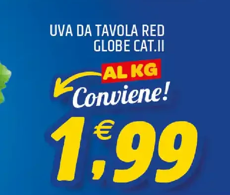 Uva da tavola red globe