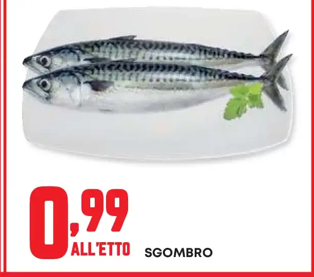Sgombro
