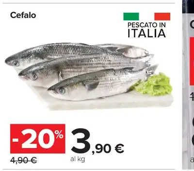 Cefalo