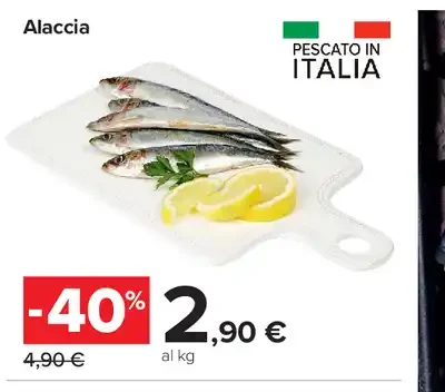 Alaccia