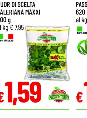 Cuor di Scelta valeriana maxxi