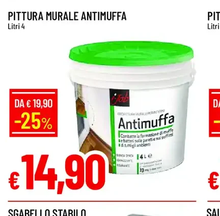 Pittura murale antimuffa