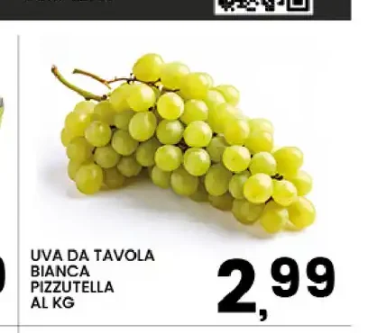 Uva da tavola bianca Pizzutella