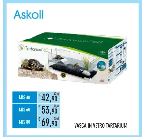 Vasca in vetro Tartarium