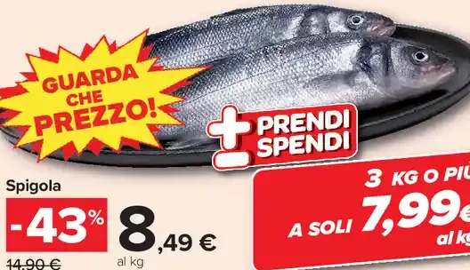 Spigola