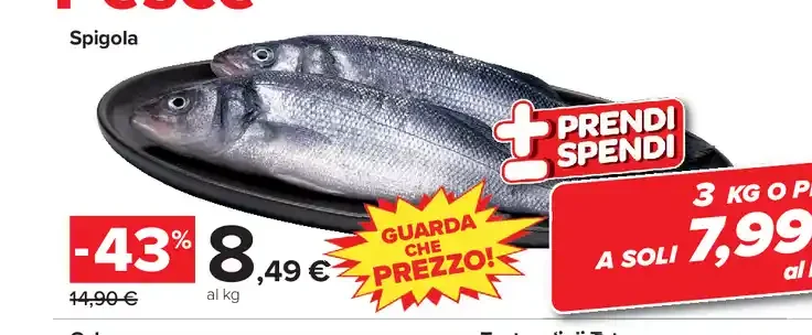 Spigola