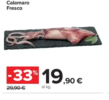 Calamaro fresco