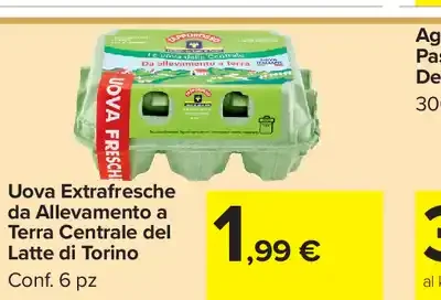 Uova fresche da allevamento a terra