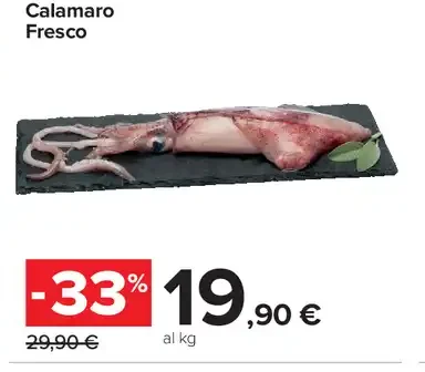 Calamaro fresco