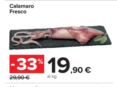 Calamaro Fresco
