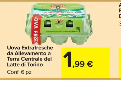Uova fresche da allevamento a terra
