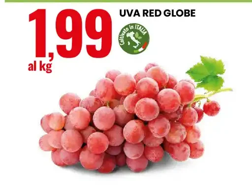 Uva red globe