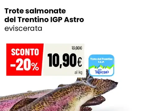 Trote salmonate del Trentino IGP Astro