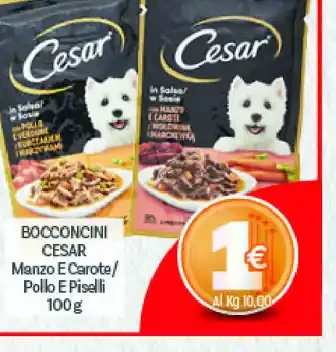 Bocconcini per cani