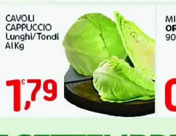 Cavoli cappuccio