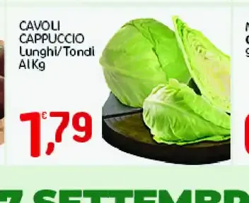 Cavoli cappuccio lunghi/tondi