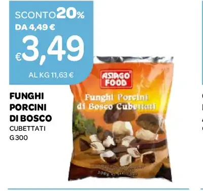 Funghi porcini di bosco