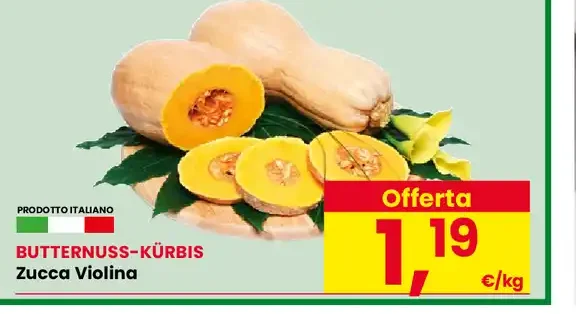 Zucca violina