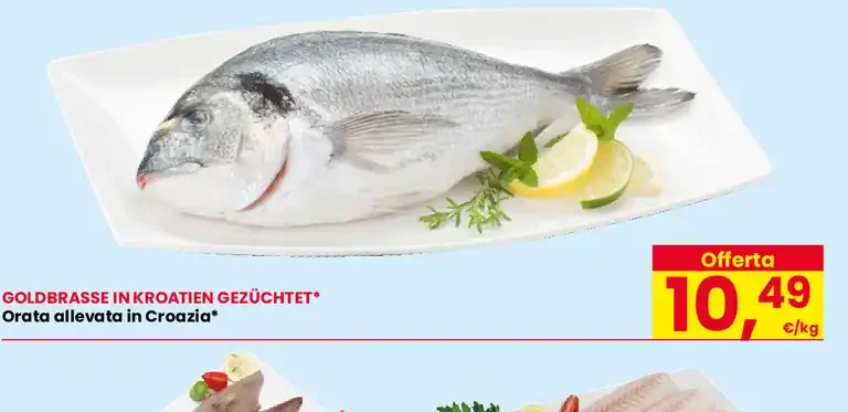 Orata allevata in Croazia