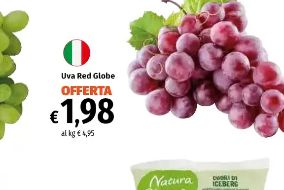 Uva Red Globe