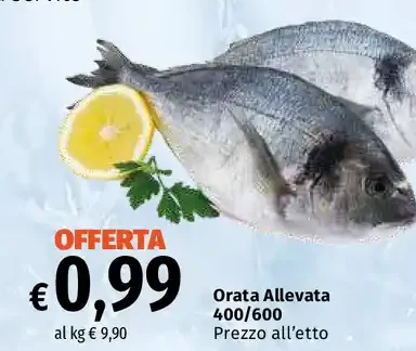 Orata Allevata