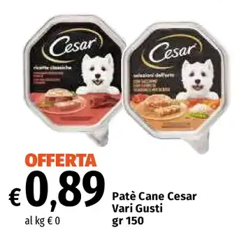 Paté Cane Cesar Vari Gusti