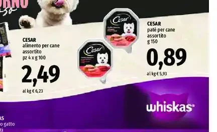 Cesar alimento per cane assortito