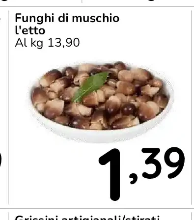 Funghi di muschio l'etto