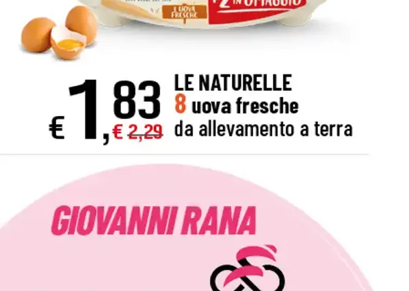 Uova fresche da allevamento a terra